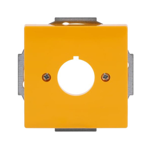 Busch-Jaeger Zentralscheibe mit Tragring 2CKA001724A4382 2533-82-15