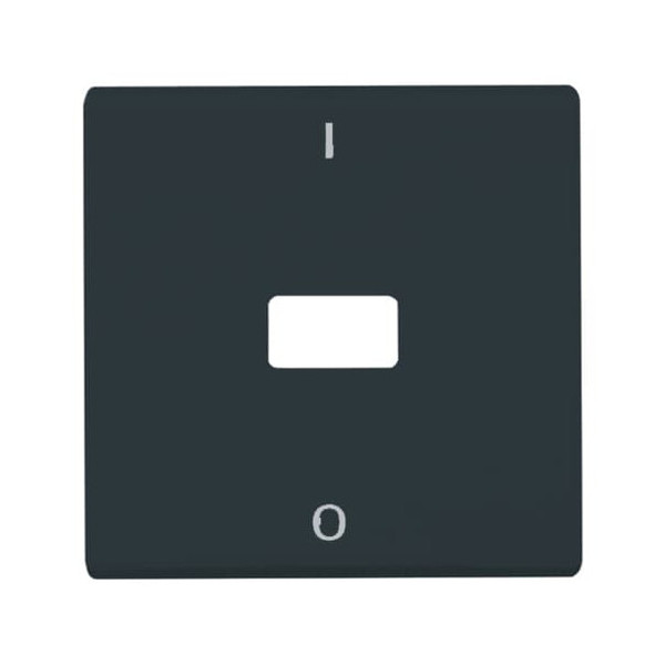 Busch-Jaeger Wippe mit Aufdruck, offen für Symbol 2CKA001731A1692 2108-35