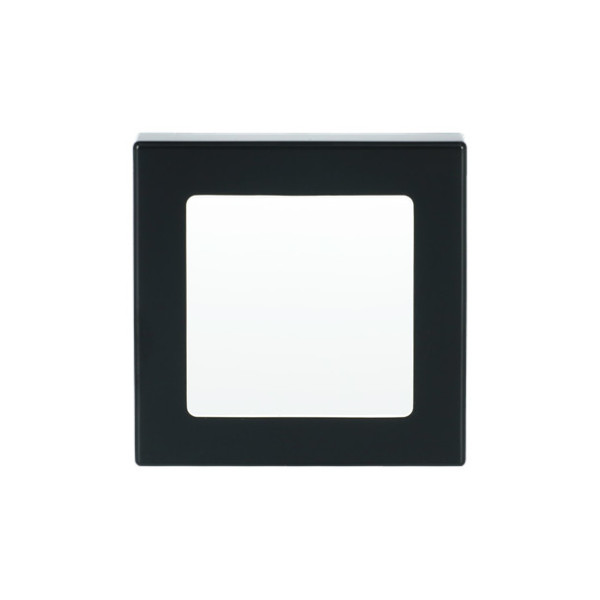 Busch-Jaeger Zentralscheibe Infolicht 2CKA001731A1921 1716-81