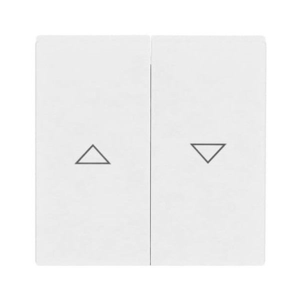 Busch-Jaeger Wippe mit Aufdruck 2CKA001751A2756 1785 JA-84