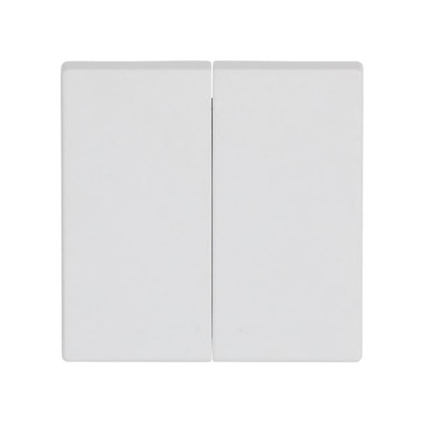 Busch-Jaeger Wippe Serienschalter 2CKA001751A3024 1785-884