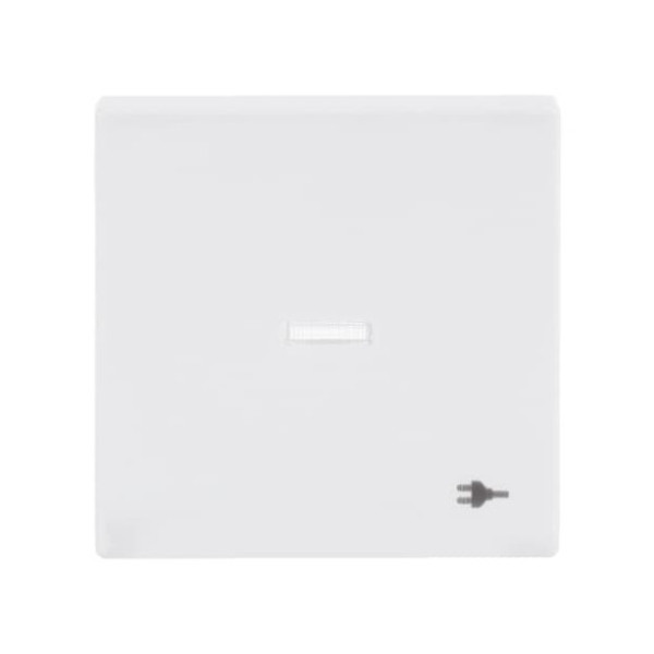 Busch-Jaeger Wippe mit Aufdruck mit kleiner transparenter Kalotte 2CKA001751A3160 1789 ST-84