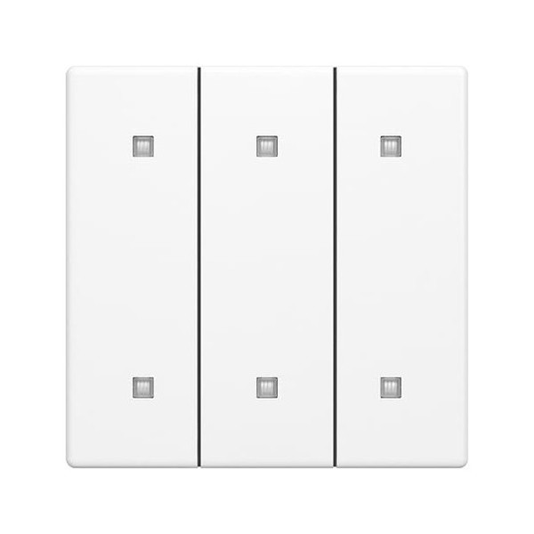 Busch-Jaeger 2570-30-884 Wippe 3-fach Elekroniktaster 2CKA001751A3282 2570-30-884