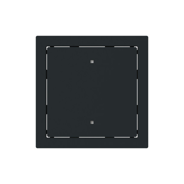 Busch-Jaeger Wippe für Elektroniktaster 1-fach mit transparenten Kalotten Busch-art linear 2CKA001751A3328 2570-10-45M