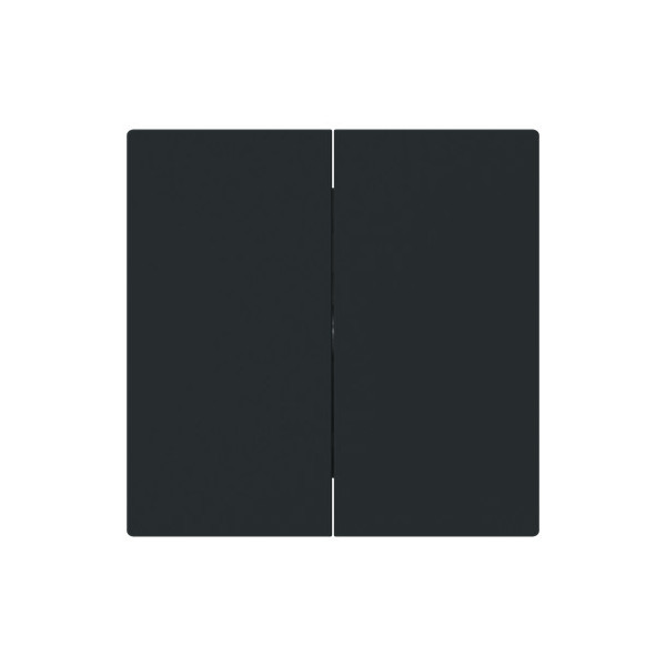 Busch-Jaeger Wippe 2-fach, für Schalter/Taster, zweiteilige Wippe schwarz matt - 2CKA001751A3388 1785-45M