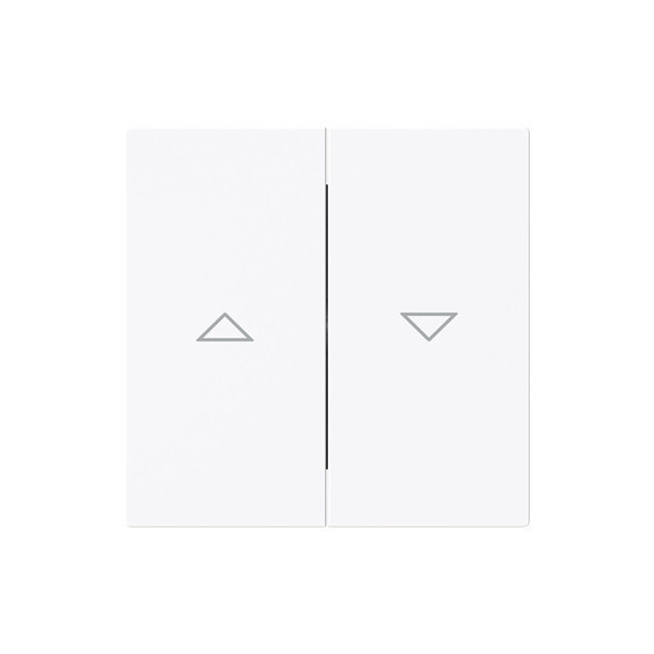 Busch-Jaeger Wippe mit Aufdruck Symbol Pfeile 2-fach, für Jalousie, zweiteilige 2CKA001751A3393 1785 JA-44G