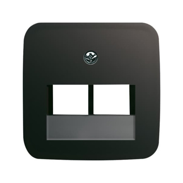 Busch-Jaeger Zentralscheibe 2-fach 2CKA001753A9111 1803-02-215