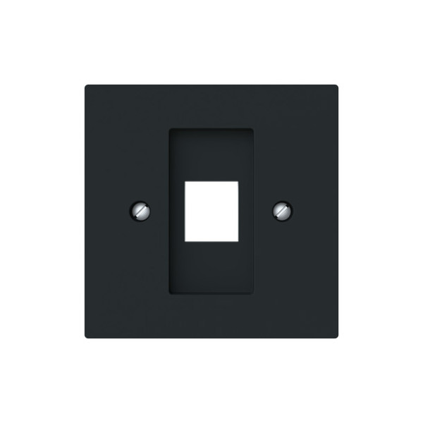 Busch-Jaeger Zentralscheibe mit Tragring Modular-Jack 1-fach Busch-art linear 2CKA001753A9925 2561-45M