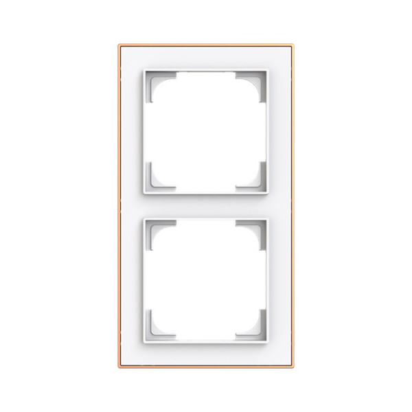 Busch-Jaeger Rahmen 2-fach mit Dekorring Busch-art linear 2CKA001754A4908 1722-441M