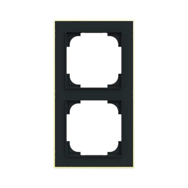 Busch-Jaeger Rahmen 2-fach mit Dekorring Busch-art linear 2CKA001754A4909 1722-453M