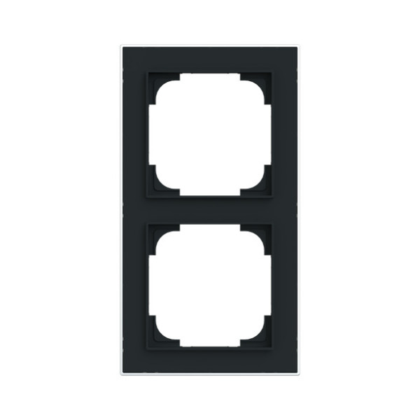 Busch-Jaeger Rahmen 2-fach mit Dekorring Busch-art linear 2CKA001754A4910 1722-456M