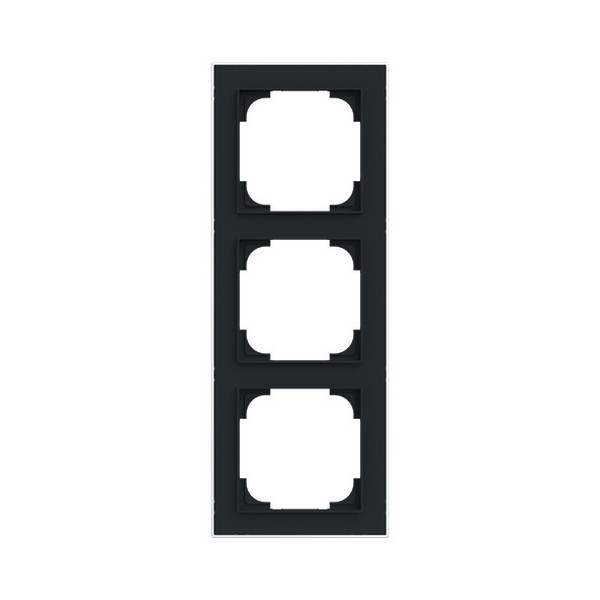 Busch-Jaeger Rahmen 3-fach mit Dekorring Busch-art linear 2CKA001754A4916 1723-456M