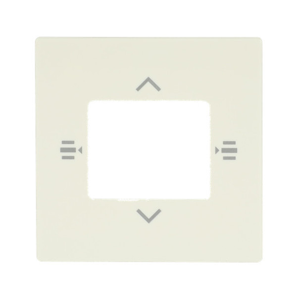 Busch-Jaeger Zentralscheibe für Bedienelement 6-fach 2CKA006115A0465 6108/61-82