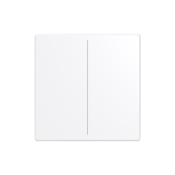 Busch-Jaeger Abdeckung, 2-fach für Keypad Format 63 - solo/future LFW/A.2.63.11-84 2CKA006199A0053 LFW/A.2.63.11-84