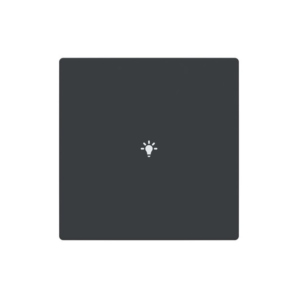 Busch-Jaeger Abdeckung als Taster 1-fach mit Symbol Beleuchtung Format 63 - solo/future 2CKA006199A0074 LFBT/A.1.63.11-81