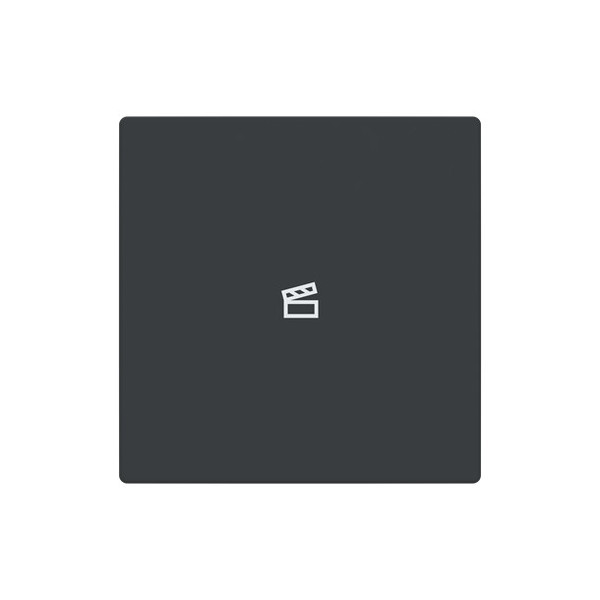 Busch-Jaeger Abdeckung als Taster 1-fach mit Symbol Szene Format 63 - solo/future 2CKA006199A0090 LFST/A.1.63.11-81