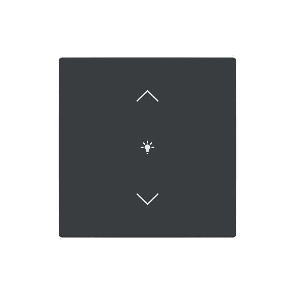 Busch-Jaeger Abdeckung als Wippe 1-fach mit Symbol Dimmen Format 63 - solo/future 2CKA006199A0191 LFDW/A.1.63.11-81