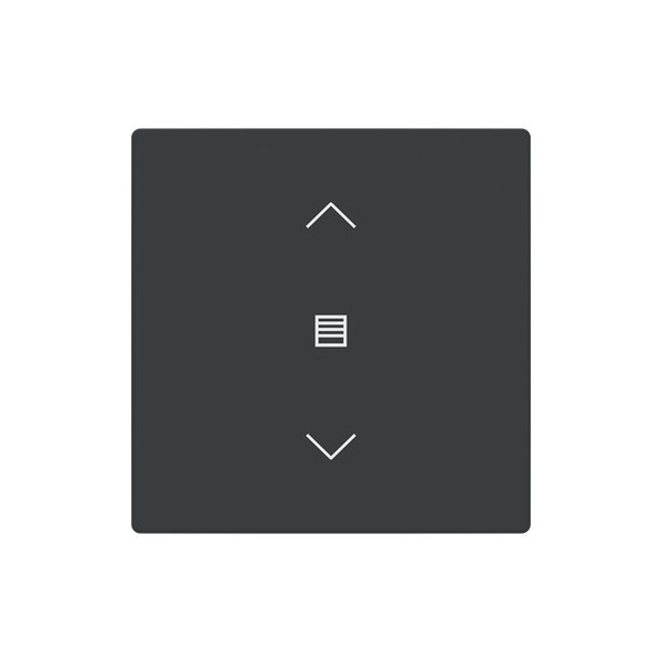 Busch-Jaeger Abdeckung als Wippe 1-fach mit Symbol Dimmen Format 63 - solo/future 2CKA006199A0199 LFJW/A.1.63.11-81