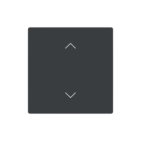 Busch-Jaeger Abdeckung als Wippe 1-fach mit Symbol Auf/Ab Format 63 - solo/future 2CKA006199A0207 LFAW/A.1.63.11-81