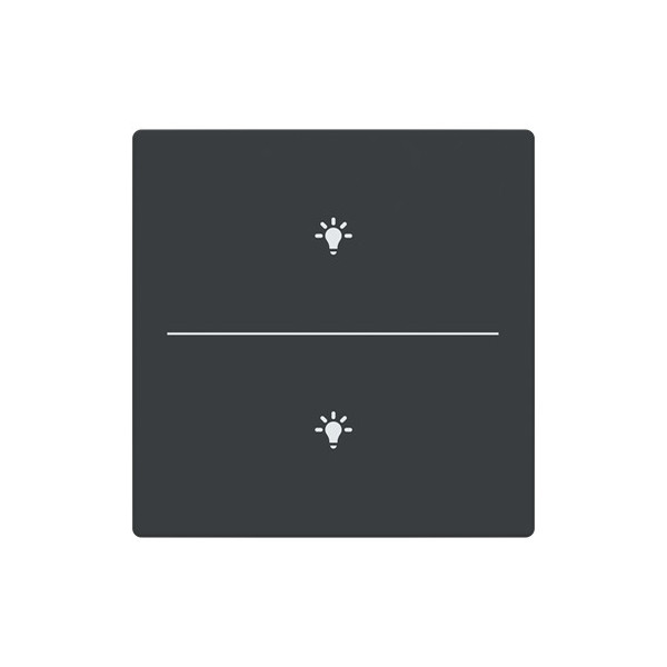 Busch-Jaeger Abdeckung als Taster 2-fach mit Symbol Beleuchtung Format 63 - solo/future 2CKA006199A0215 LFBT/A.2.63.11-81