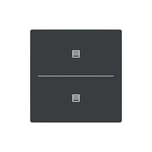 Busch-Jaeger Abdeckung als Taster 2-fach mit Symbol Jalousie Format 63 - solo/future 2CKA006199A0223 LFJT/A.2.63.11-81