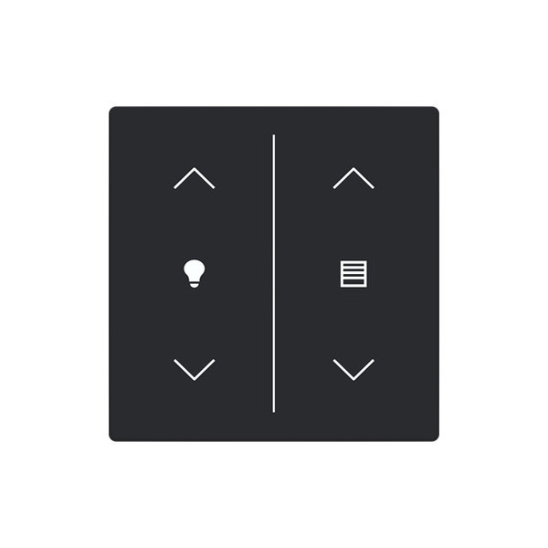 Busch-Jaeger Abdeckung als Wippe 2-fach mit Symbol Dimmen/Jalousie Format 63 - solo/future 2CKA006199A0244 LFDW/A.2.63.11-885