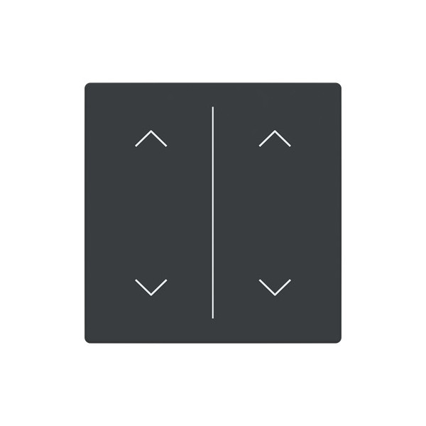 Busch-Jaeger Abdeckung als Wippe 2-fach mit Symbol Auf/Ab Format 63 - solo/future 2CKA006199A0247 LFAW/A.2.63.11-81