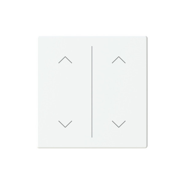 Busch-Jaeger Abdeckung als Wippe 2-fach mit Symbol Auf/Ab Format 63 - solo/future 2CKA006199A0251 LFAW/A.2.63.11-884