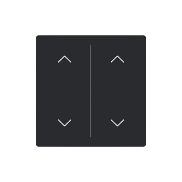 Busch-Jaeger Abdeckung als Wippe 2-fach mit Symbol Auf/Ab Format 63 - solo/future 2CKA006199A0252 LFAW/A.2.63.11-885