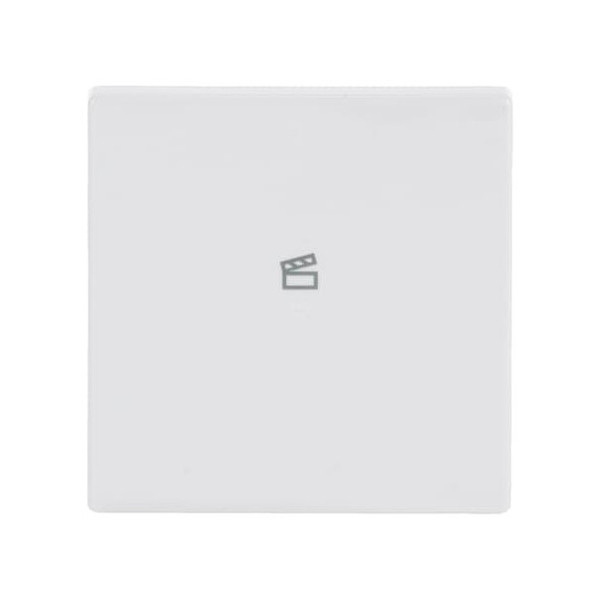 Busch-Jaeger Wippe 1-fach, mit Symbol Szene 2CKA006220A0043 6233-10-84