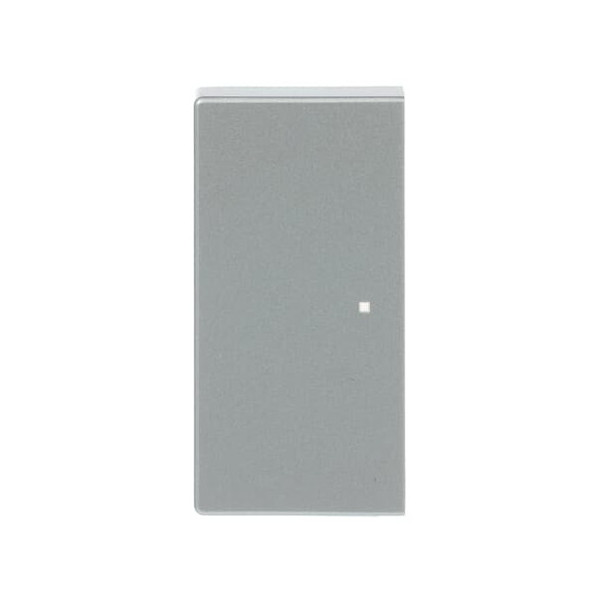 Busch-Jaeger Wippe 2-fach links/rechts, ohne Bedruckung 2CKA006220A0048 6230-20-83