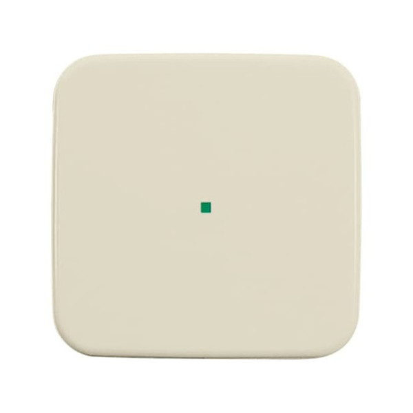 Busch-Jaeger Wippe 1-fach, ohne Bedruckung 2CKA006220A0077 6230-10-212