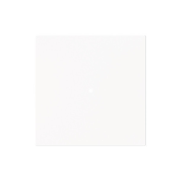 Busch-Jaeger Wippe 1-fach, ohne Bedruckung studioweiß matt - Busch-art linear 2CKA006220A0925 6230-10-44M