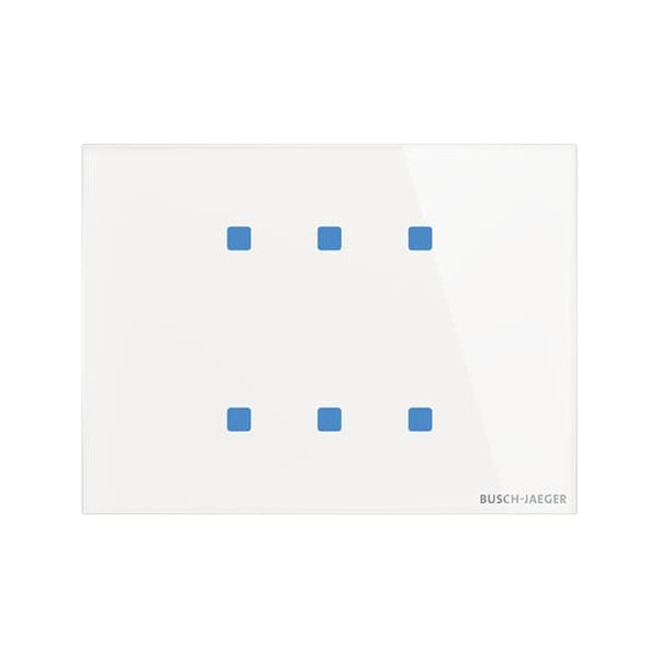 Busch-Jaeger Bedienelement 6f 2CKA006300A1627 TB/U6.8.11-CG