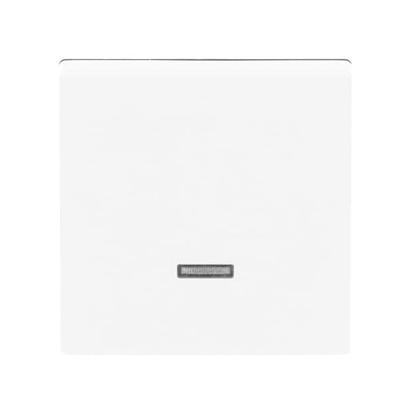 Busch-Jaeger Bedienelement mit Glimmlampe 2CKA006599A2834 6543-84-101