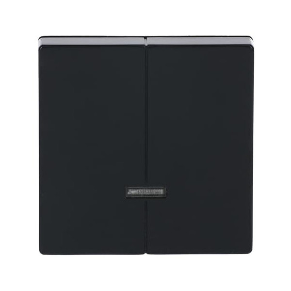 Busch-Jaeger Bedienelement mit Glimmlampe 2CKA006599A2906 6545-81