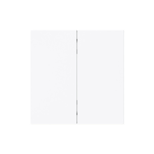 Busch-Jaeger Wippe 2-fach Smart Switch 2CKA006730A0166 6736 FoH-44G