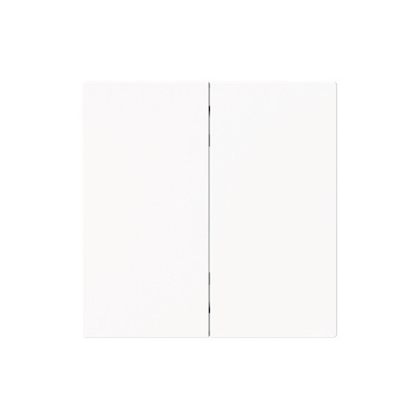 Busch-Jaeger Wippe 2-fach Smart Switch 2CKA006730A0167 6736 FoH-44M