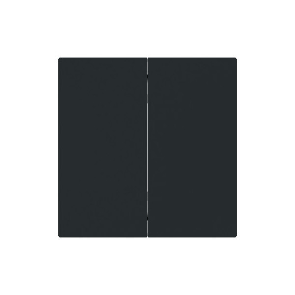 Busch-Jaeger Wippe 2-fach Smart Switch 2CKA006730A0169 6736 FoH-45M