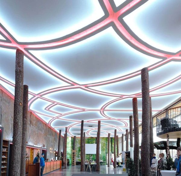 Deko-Light LED Stripe, Streifen, D Flex Line Top Top-View IP68 RGBW, RGB + Warmweiß, 24V DC, 43W, IP68/max.2m 840289