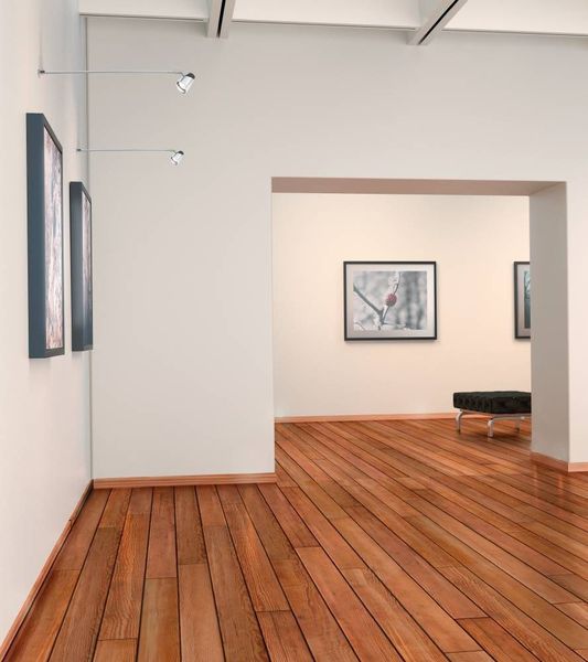 Eglo 66244 RUGOVE GU10 Wandleuchte Silber, Chrom