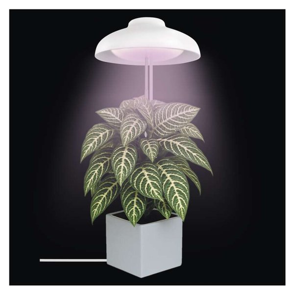Emos LED Pflanzenleuchte 5W neutralweiss 3500K Weiß 11x11cm Z7901