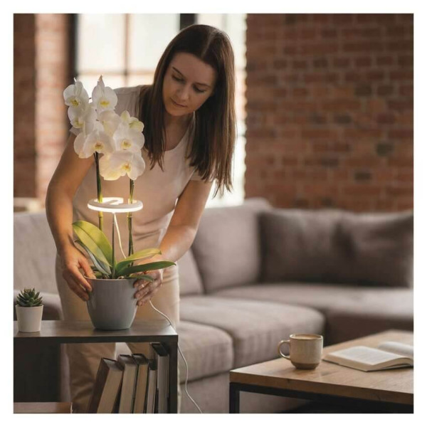 Emos LED Pflanzenleuchte 8W warmweiss 3100K dimmbar Weiß 12x12cm Z7902