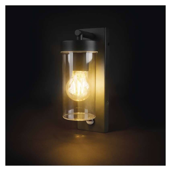 Emos LED Gartenstrahler Zala Bewegungsmelder IP44 Anthrazit Edelstahl ZGC040P