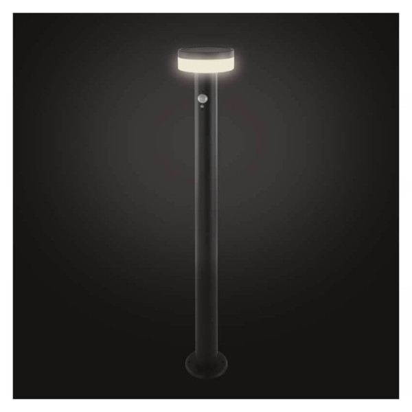 Emos LED Solar-Wegeleuchte Terion 2W warmweiss 3000K Bewegungsmelder Akku IP44 Anthrazit Edelstahl 12,5x12,5cm ZGJ0F4S