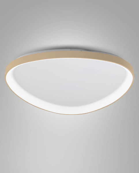 Fabas Luce LED Deckenleuchte Quirk 75W dimmbar 2700/3200/4000K CCT warm-/neutralweiss Messing satiniert Metall Ø80cm