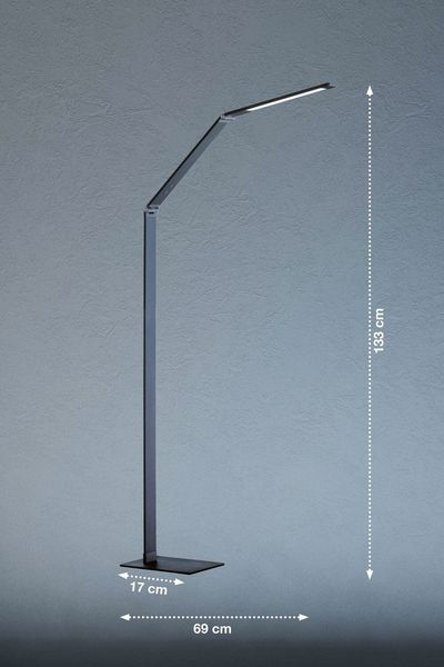 Fischer & Honsel Geri LED Stehleuchte 7,6W Tunable white steuerbar dimmbar Acrylglas anthrazit-grau 45841