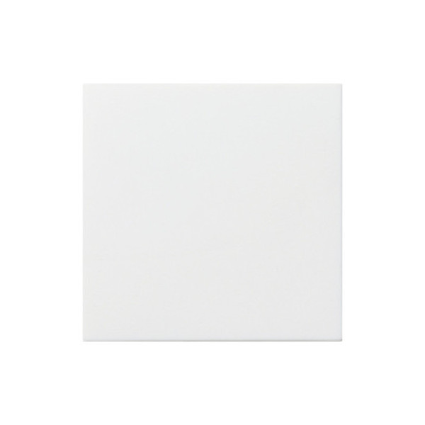 Gira 022527 Abdeckung Ackermann 72642 C / 72639 A System 55 Reinweiß m