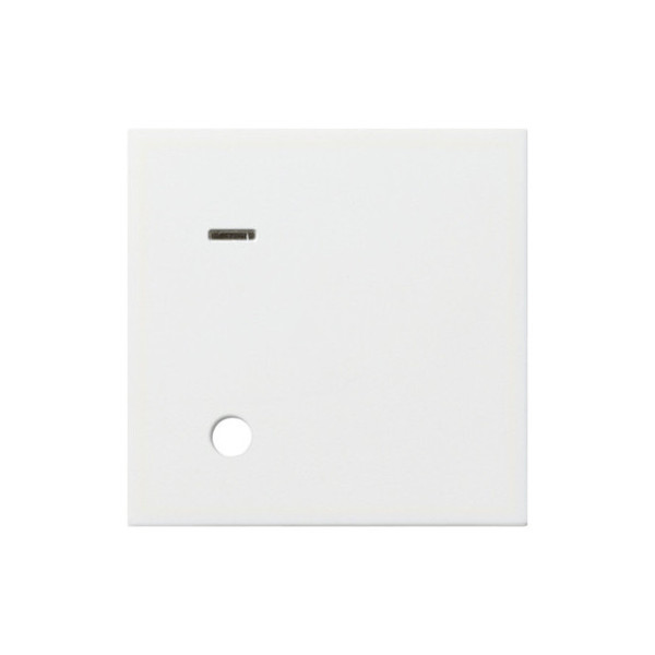 Gira 023303 Abdeckung Ackermann 70045 A3 System 55 Reinweiß