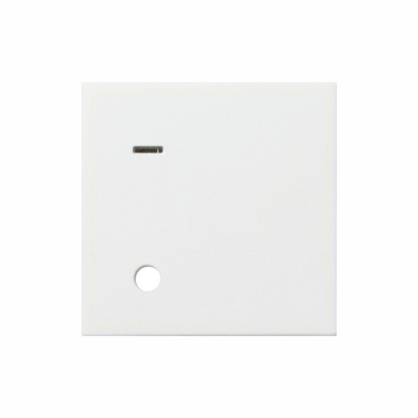 Gira 023327 Abdeckung Ackermann 70045 A3 System 55 Reinweiß m